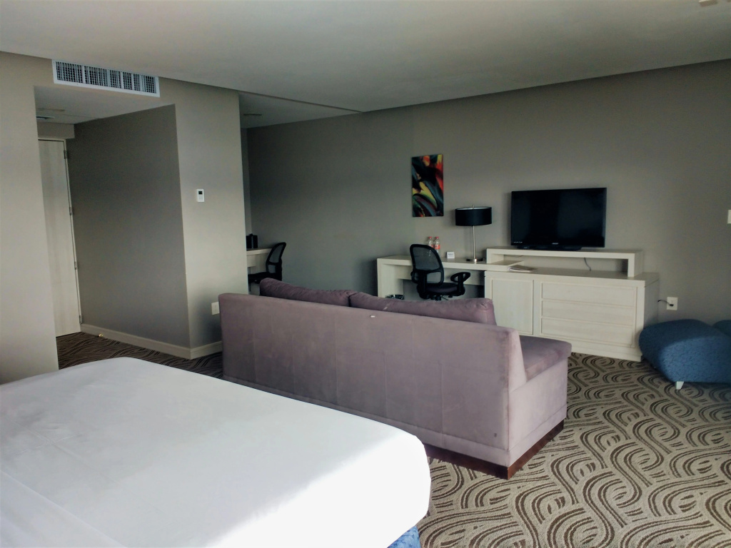 Holiday Inn Express Pachuca by IHG - Général
