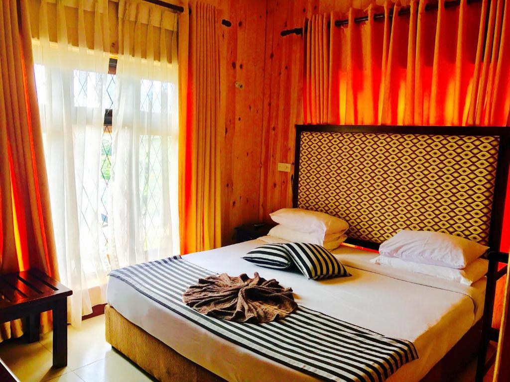 Single Tree Hotel