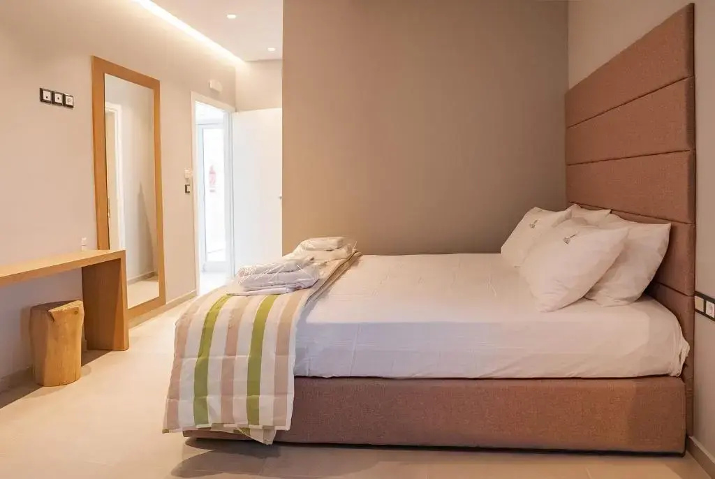 Standard Double room with mountain view (full double bed)