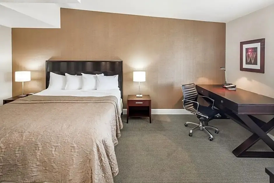 1 Bedroom Executive Double Suite (full double bed)