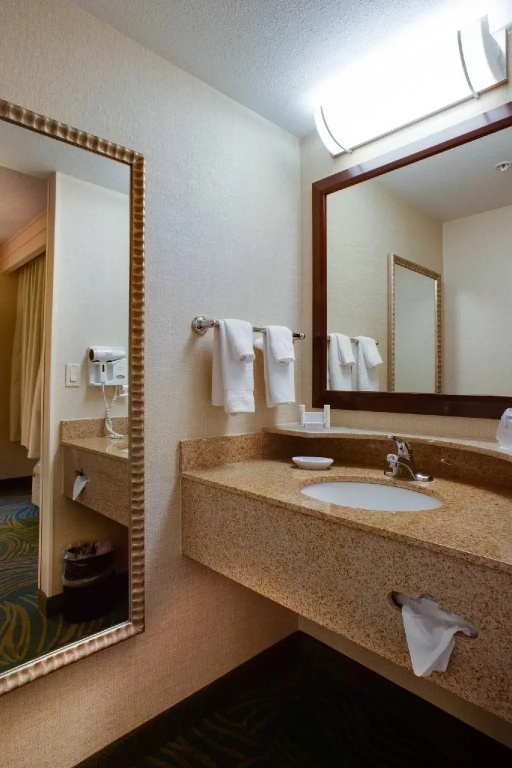 SpringHill Suites by Marriott Savannah Airport - Chambres