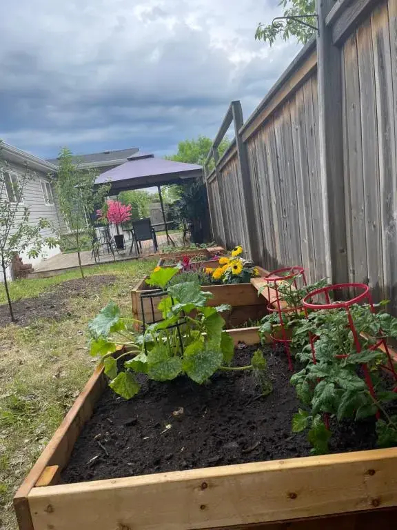 Lemon Tree Inn - фото 10