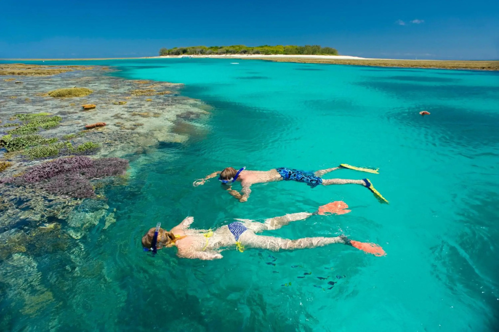 Reef Suite