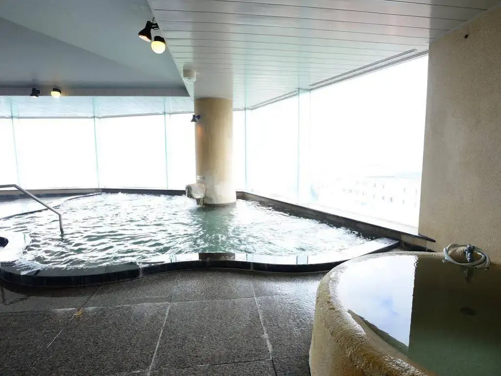 Fuji Hakone Land Schole Plaza Hotel - Général