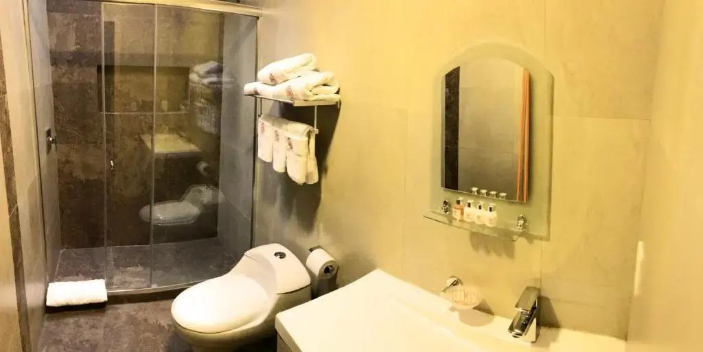 Hotel Santiago de Compostella Suites - Chambres