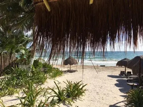 Beach & Waterfront