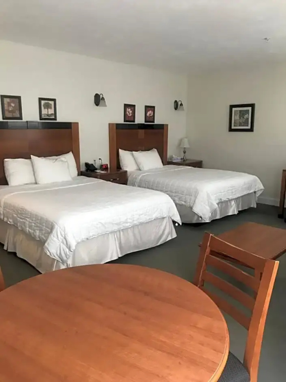 Quadruple Suite