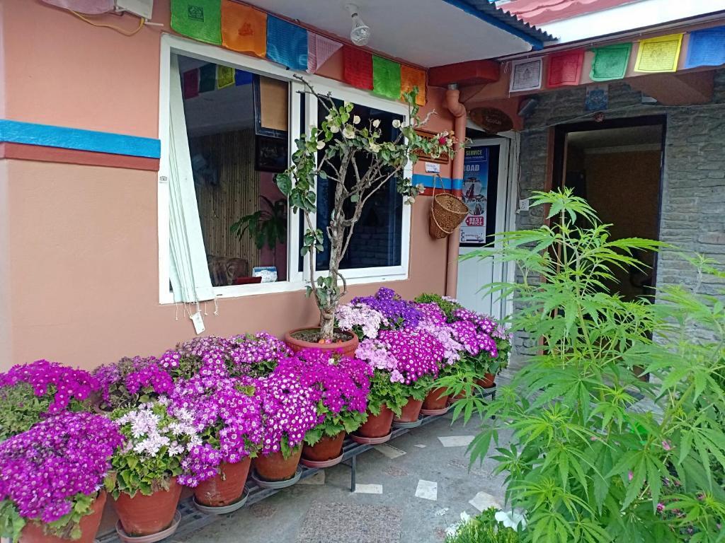 Image 12