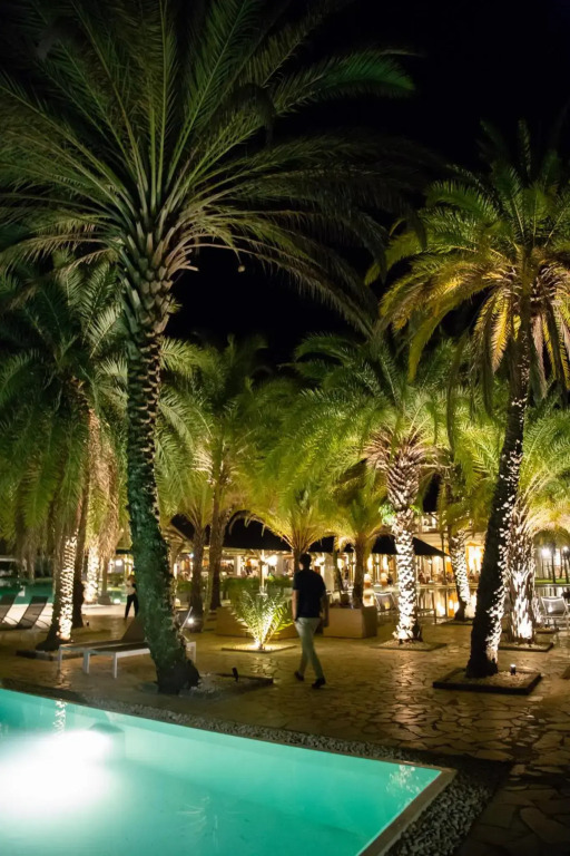 The Ravenala Attitude - фото 45