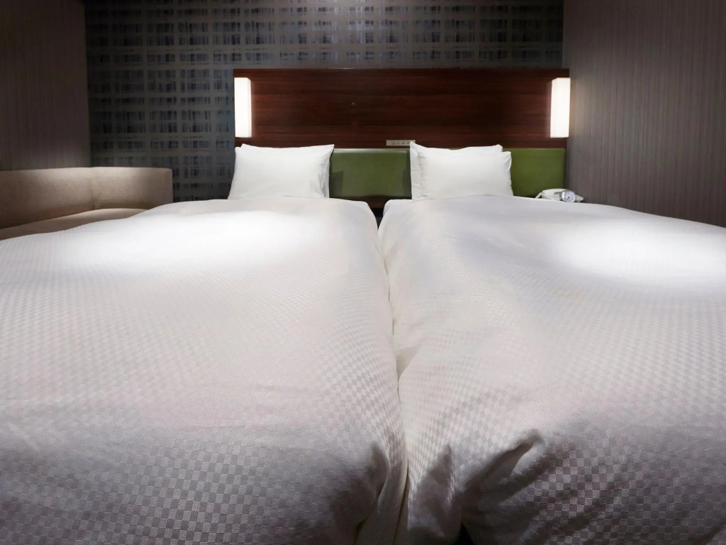 Economy Double room (twin beds)