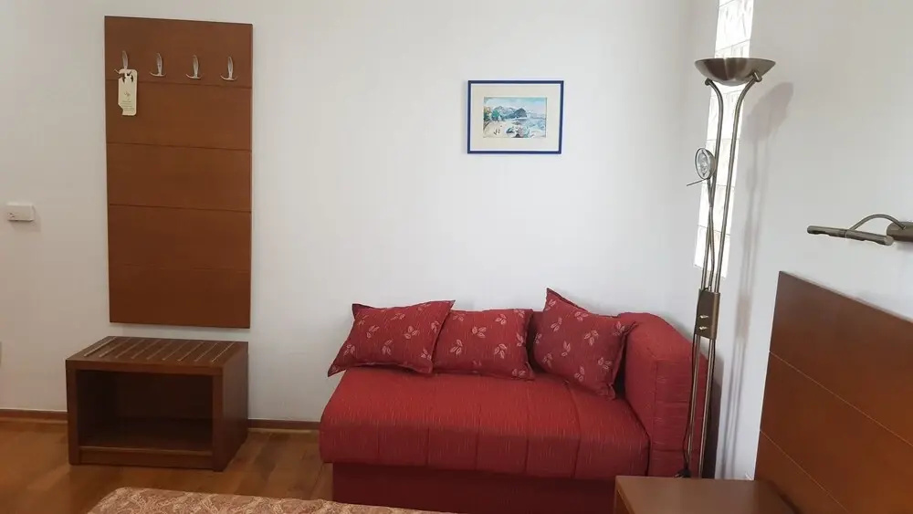 Hotel Paun