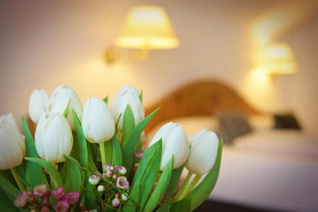 Concordia Wellnesshotel & SPA - Chambres