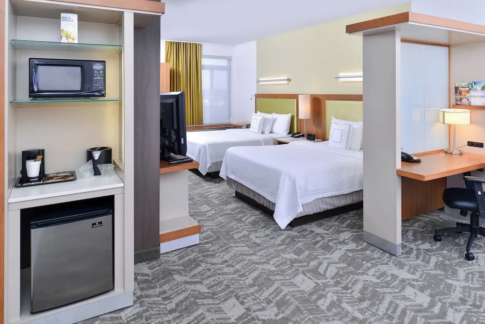 SpringHill Suites by Marriott Detroit Metro Airport Romulus - Chambres