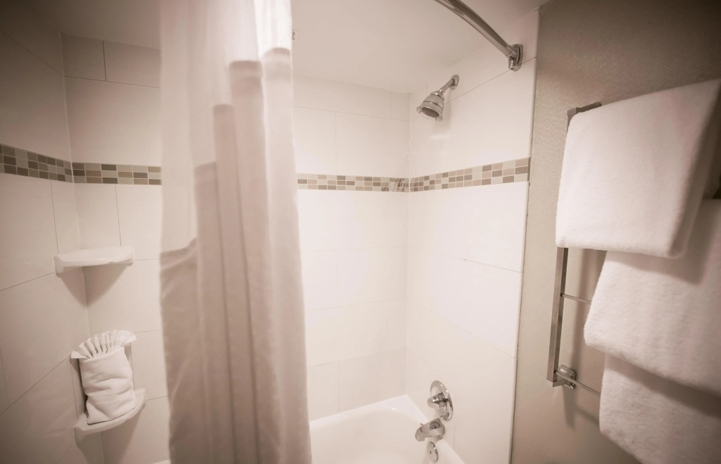 Holiday Inn Raleigh Downtown - Général