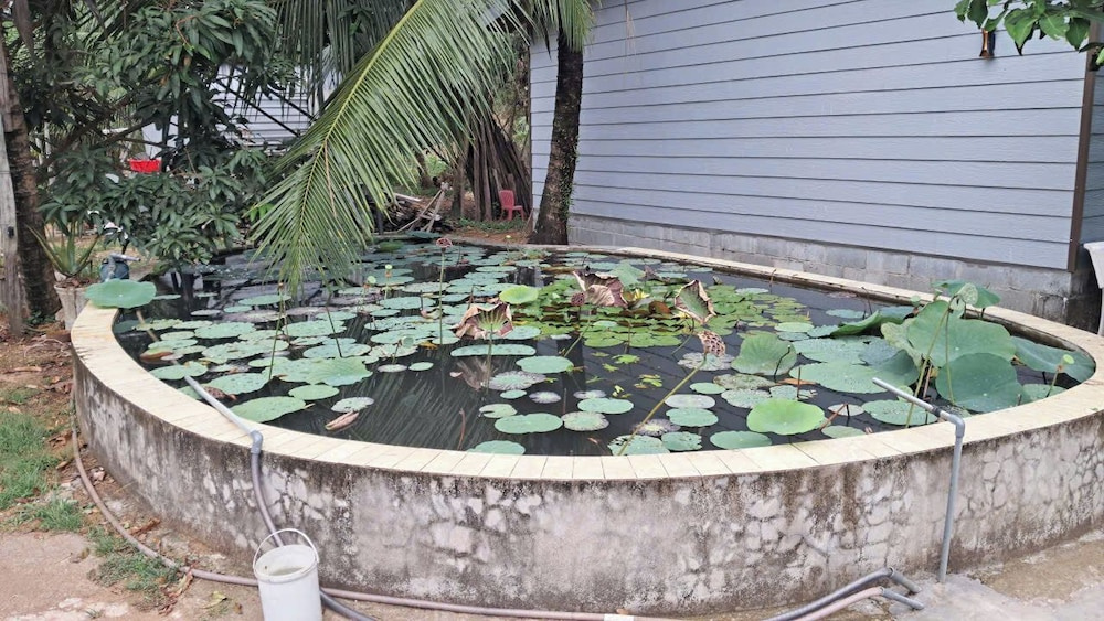 Khang Nguyen Homestay