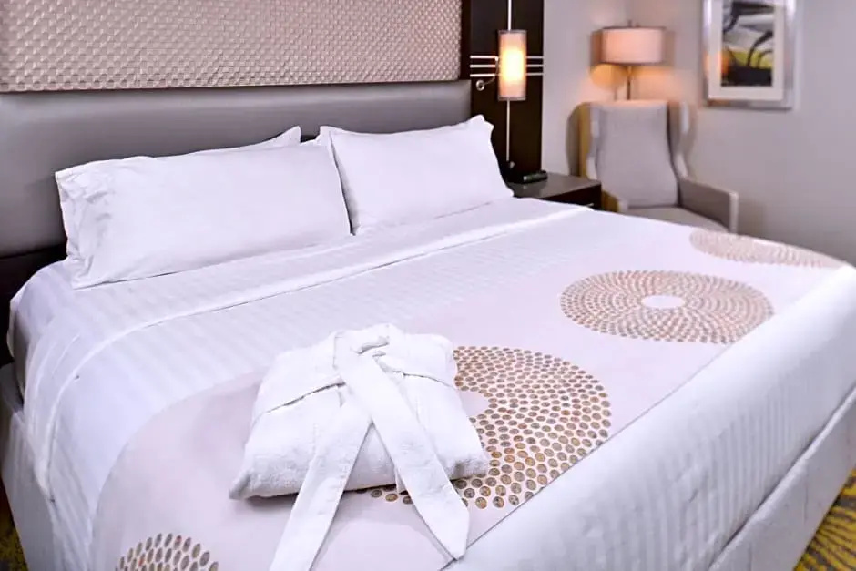Holiday Inn Dallas-Richardson by IHG - Chambres