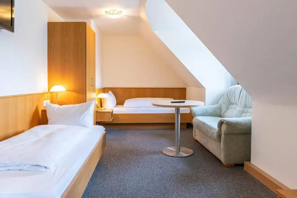Standard Double room (twin beds)