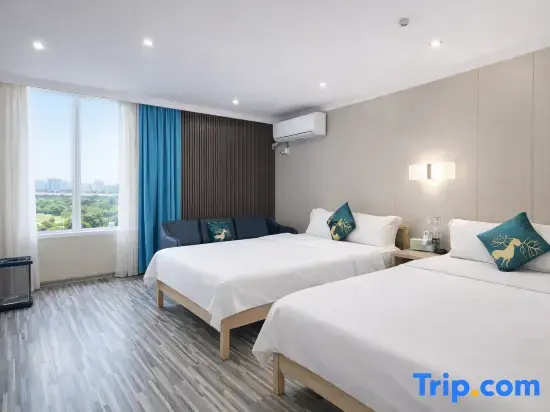 Standard Double Family room (twin beds)