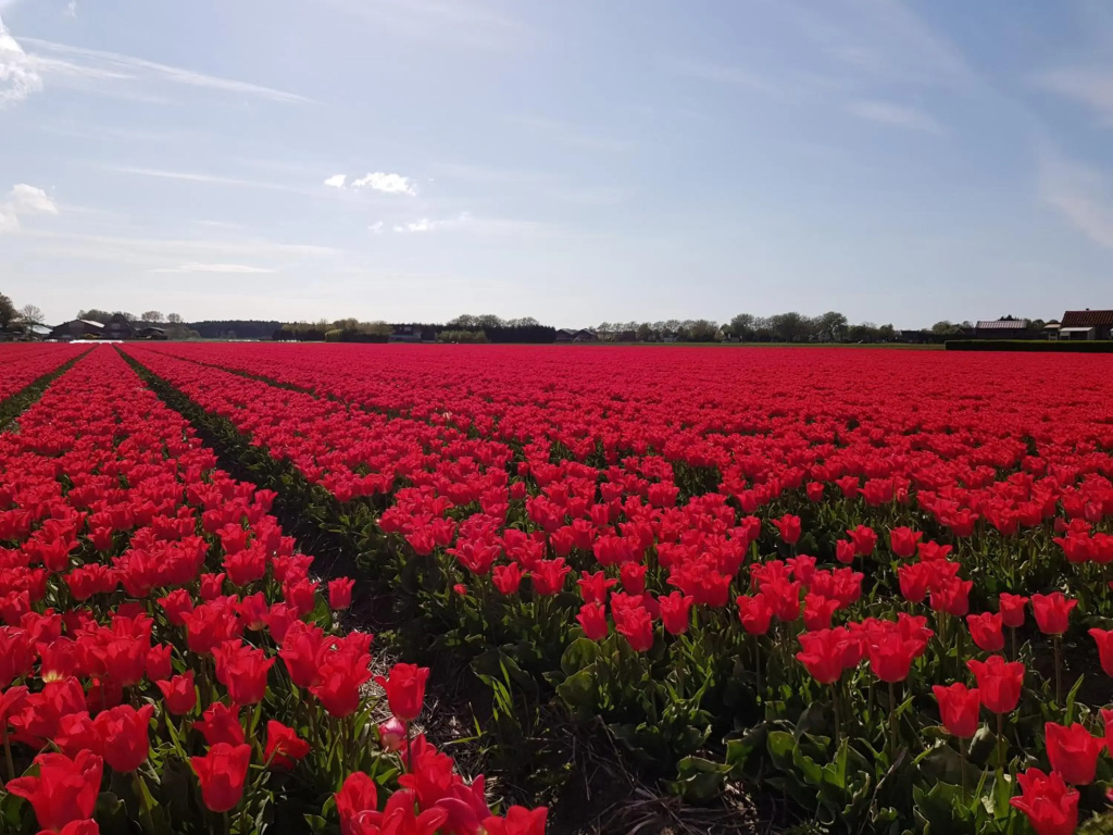 Kust-, fiets-, wandel-, rust- & cultuurlocatie