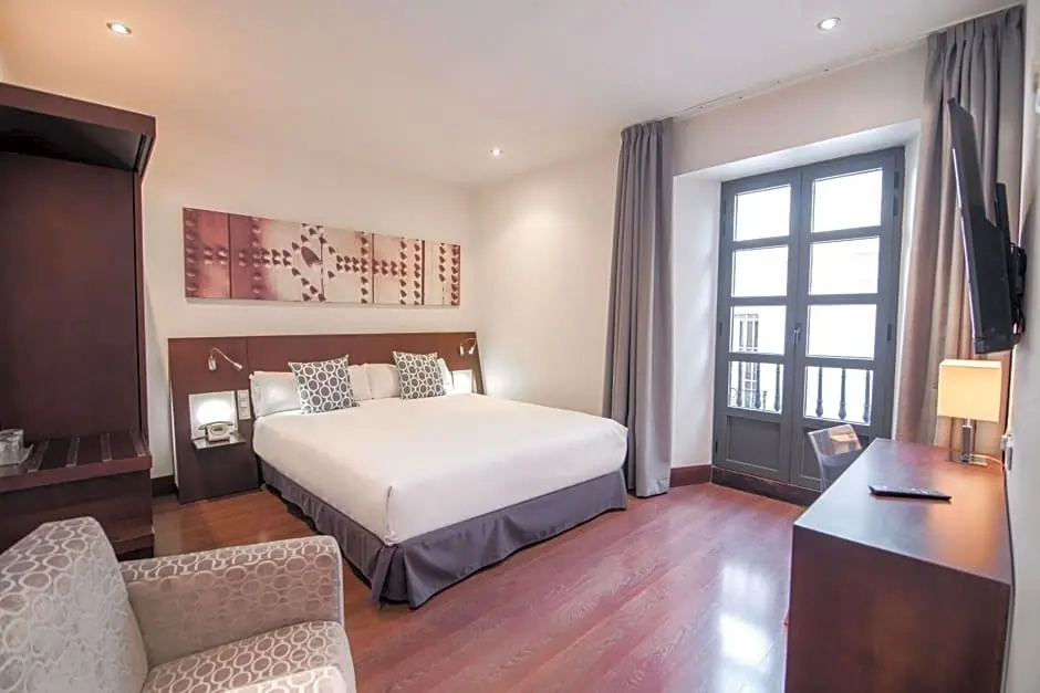 Petit Palace Marqués Santa Ana - Chambres