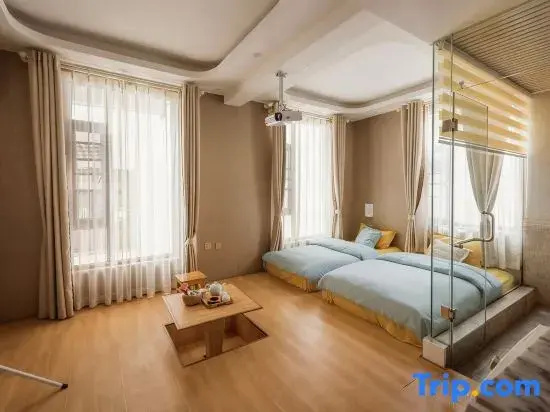 Standard Double Attic room (twin beds)