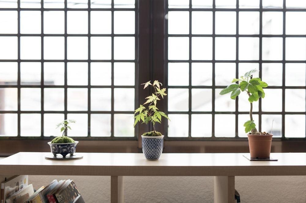 Kyoto Guesthouse Tai Hostel 사진 13