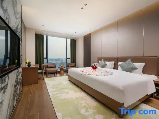 Standard Double room with city view (full double bed)