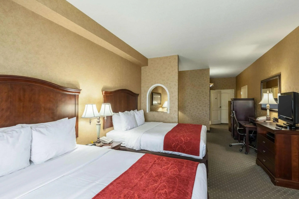 Comfort Suites Alamo - Riverwalk - Général