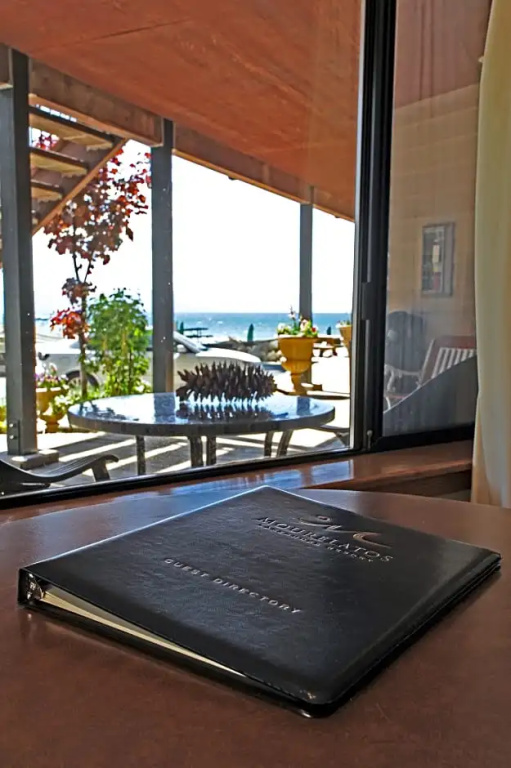 Mourelatos Lakeshore Resort - Chambres