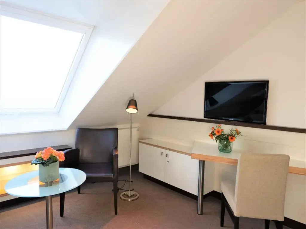 Standard Double room with lake view (full double bed)