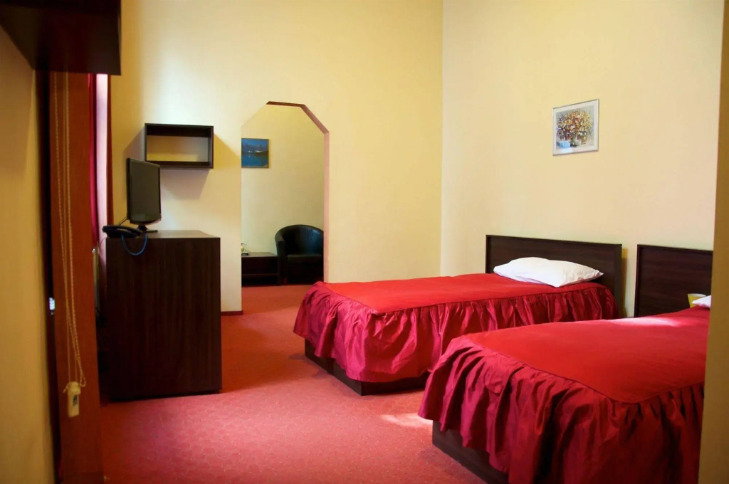Victoria Hotel Timisoara - Général