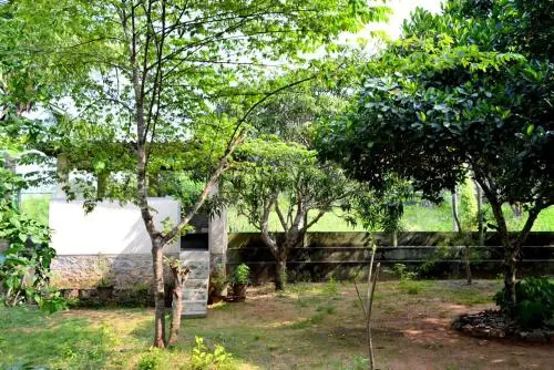 Wilpattu Lake View Bungalow