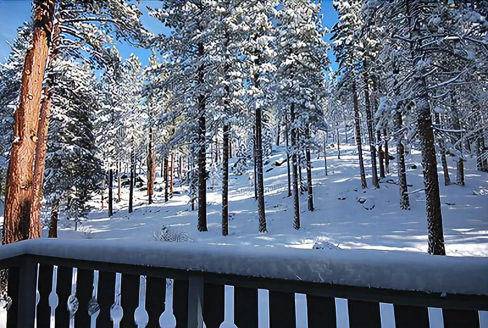 South Lake Tahoe - 3 BR Home Pet Friendly Wood Burning Fireplace - LTA 8097