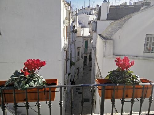 Martine Dimore Storiche di Puglia