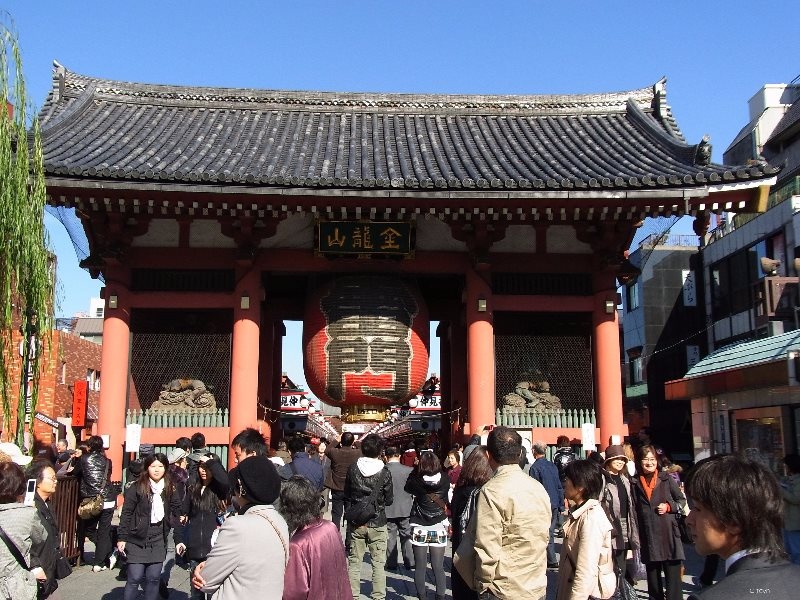 Japonica Lodge(ジャポニカロッジ) 사진 18