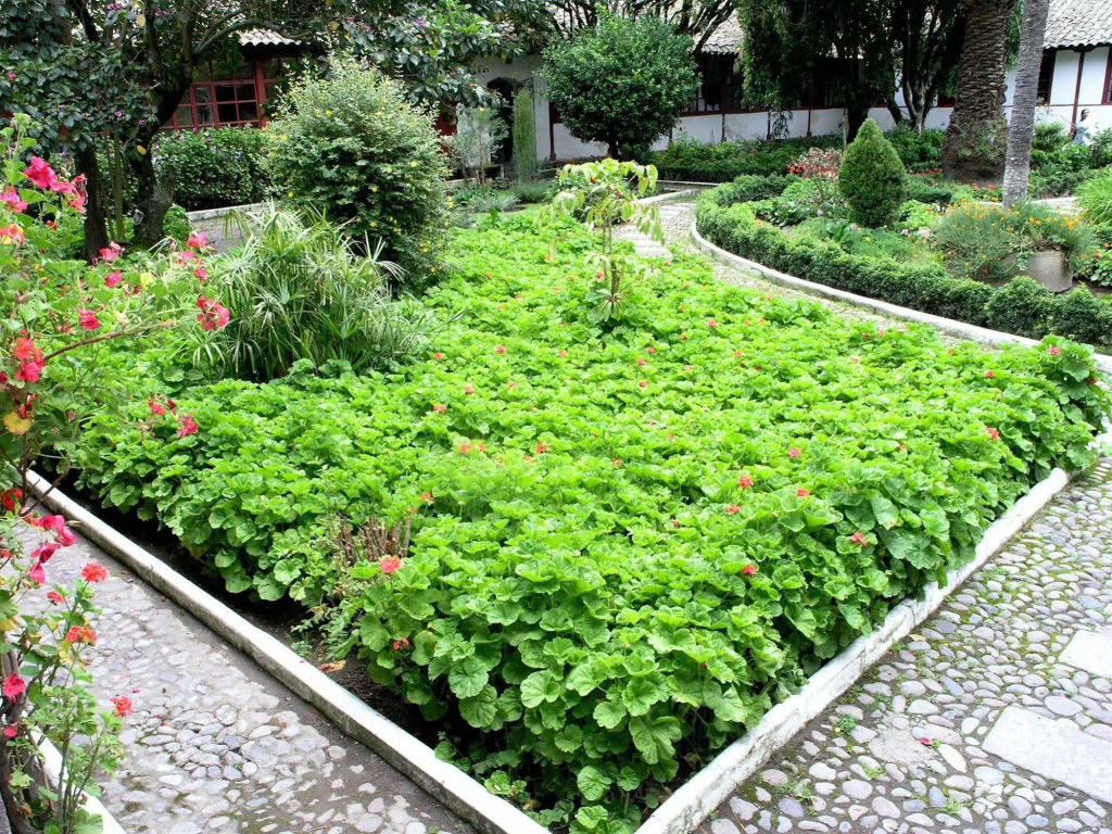 Hacienda La Ciénega - Général
