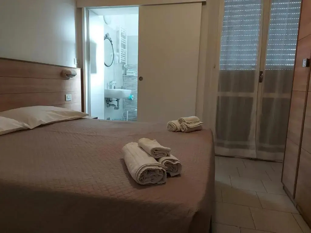 Standard Double room (full double bed)