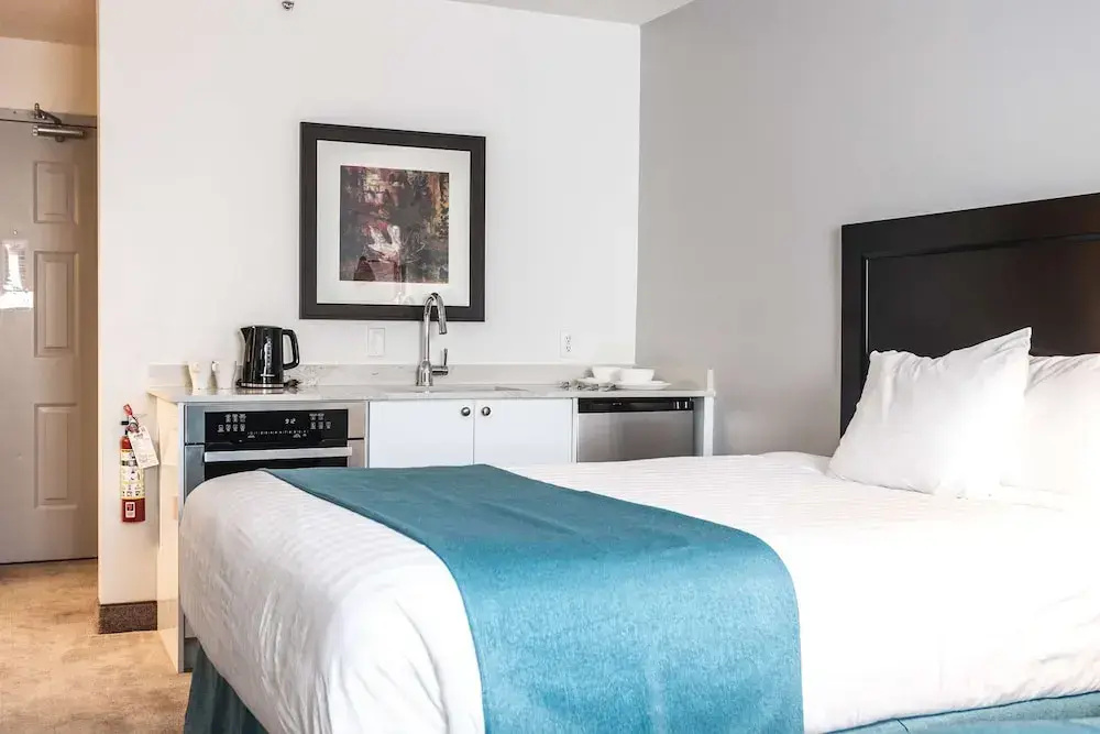 Dog-Friendly Double room (full double bed)