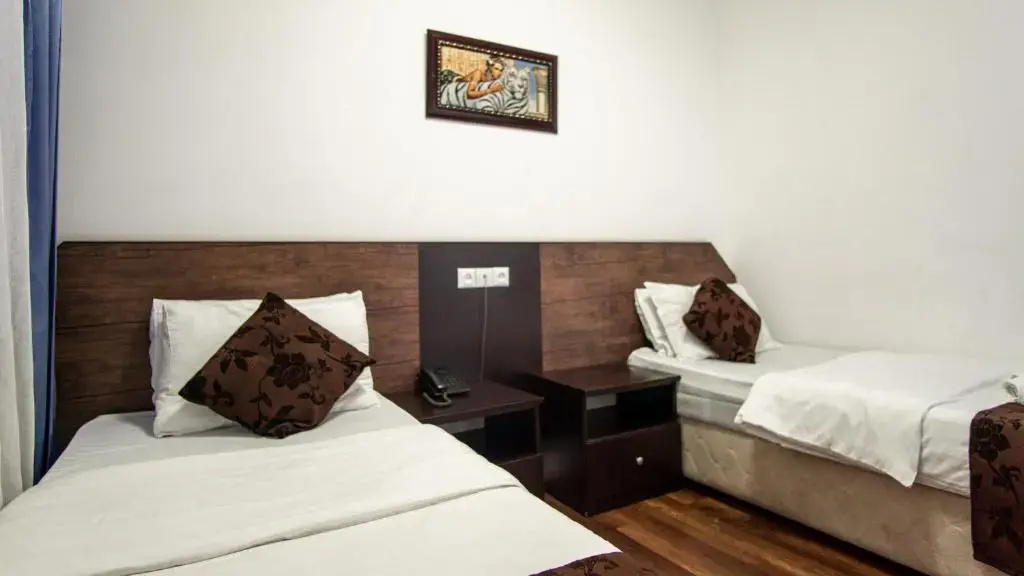 Standard Double room with balcony (twin beds)