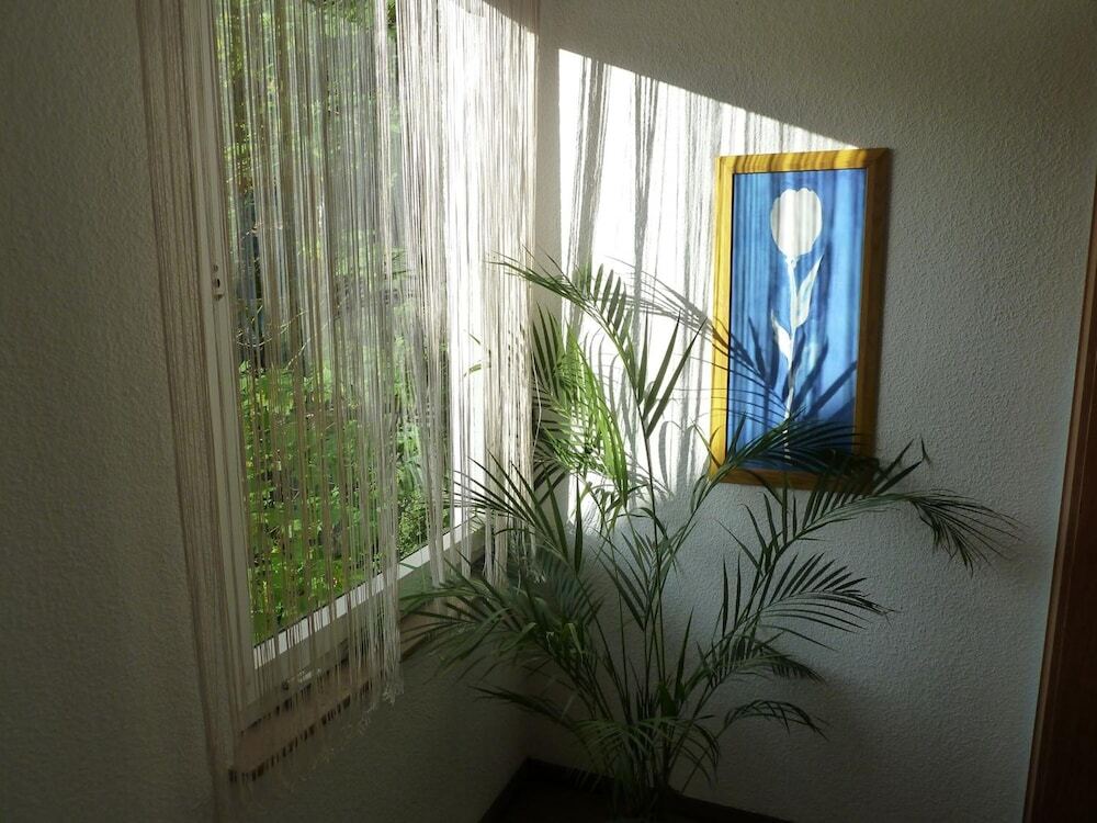 Image 29