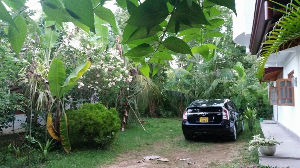 Mahawewa Nature Resort