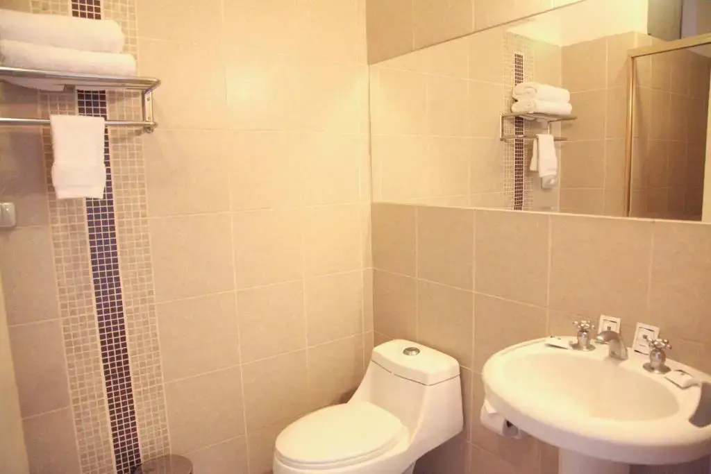 Superior Double room (full double bed)