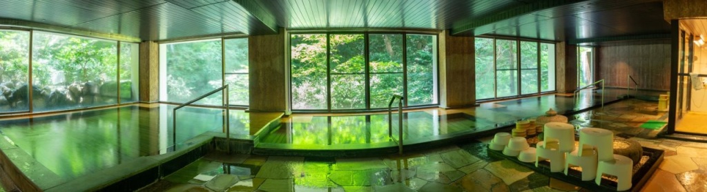 Hakone Yumoto Hotel 사진 36