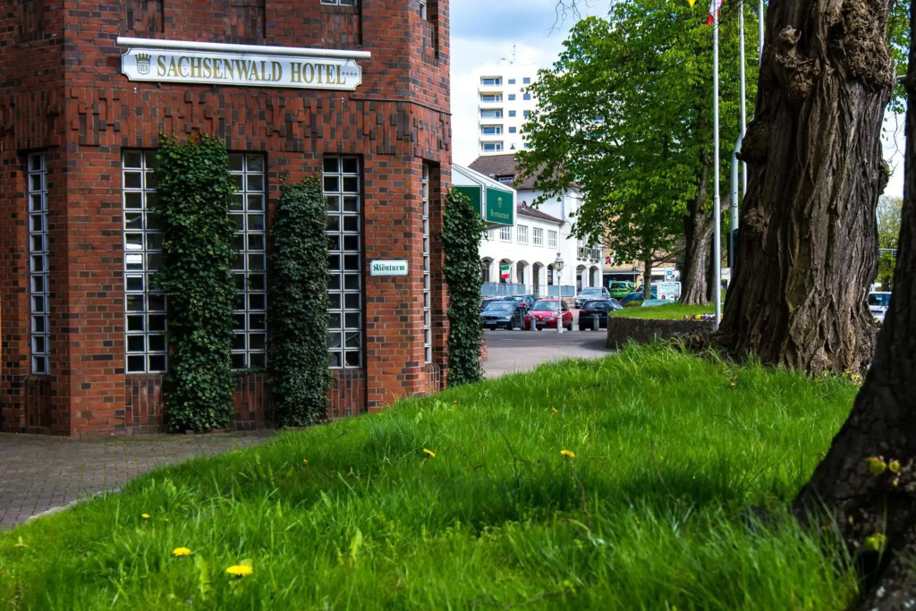 Image 31