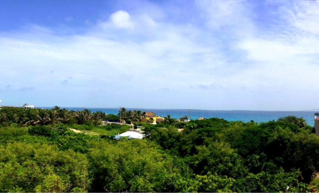 Beach & Waterfront
