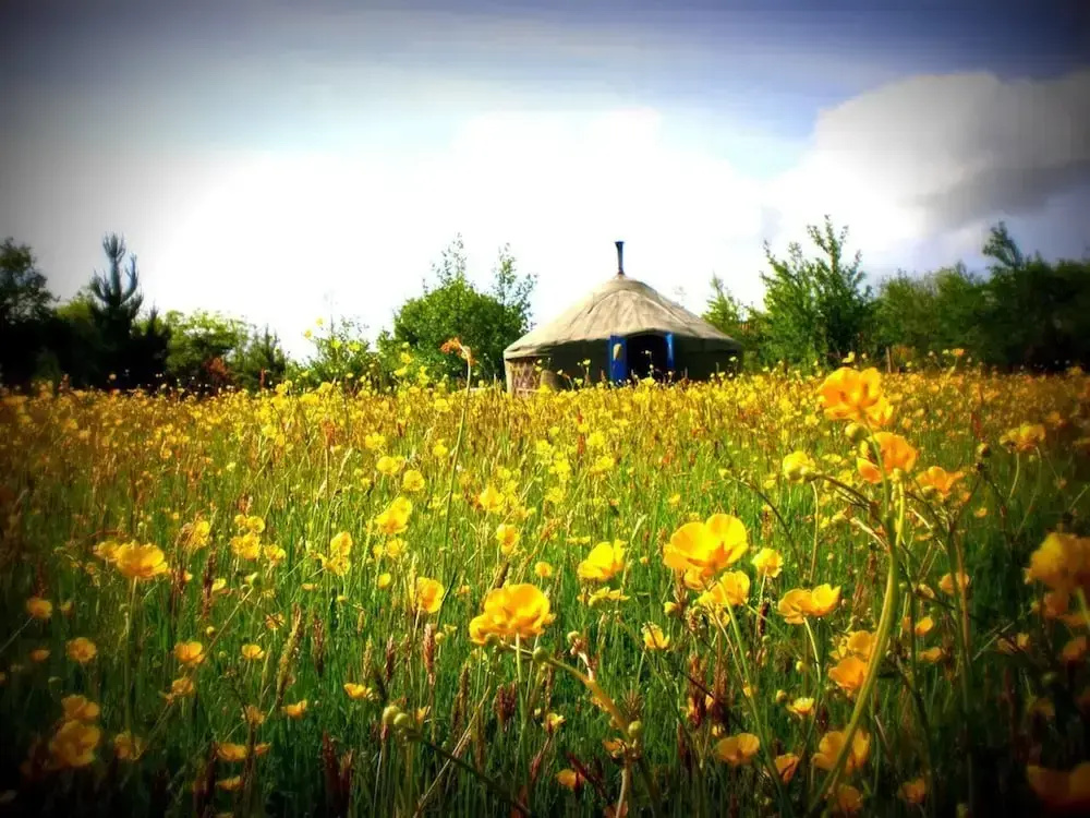 Roundhouse Yurt, Stunning Views, Totnes Dartmouth