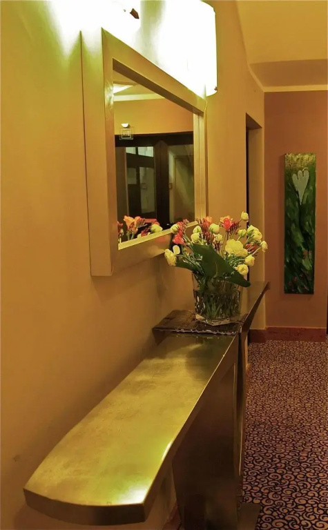 Domus Park Hotel & SPA - Général