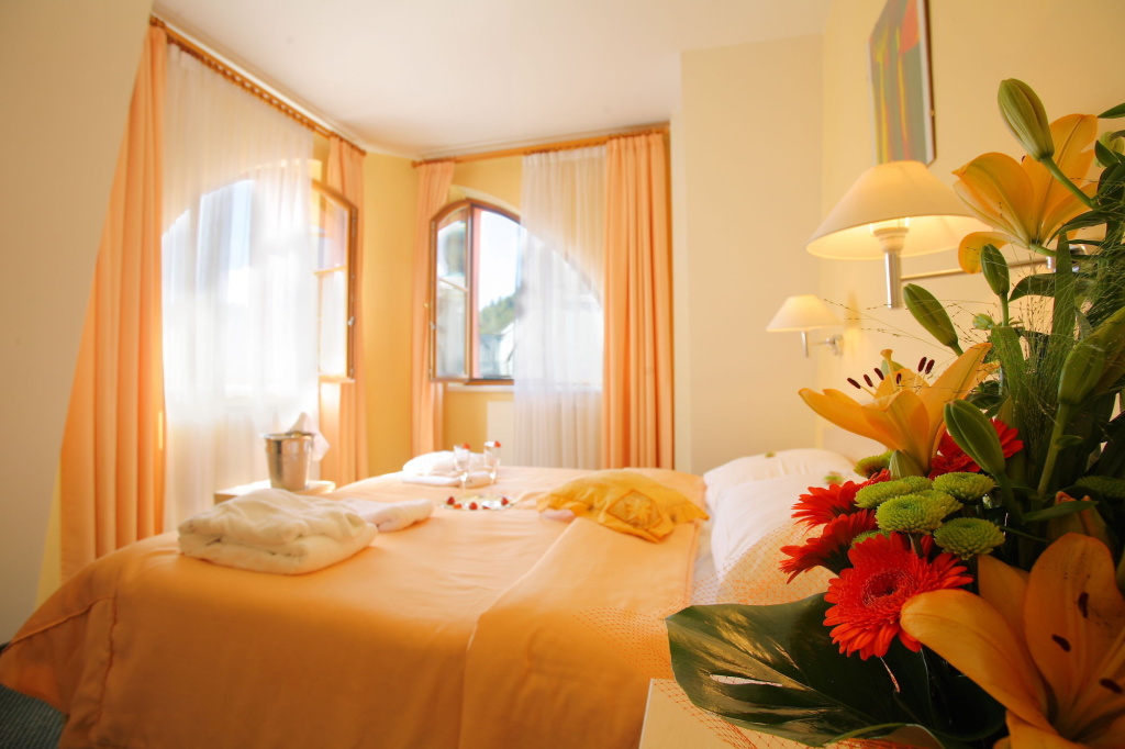 Wellness & Spa Hotel Ambiente - Général