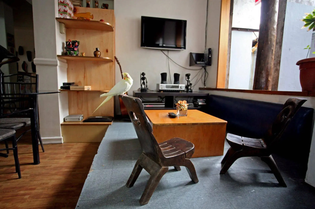 image url