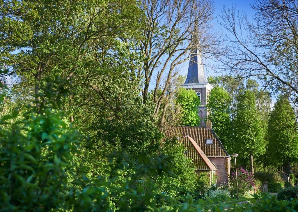 Image 15